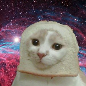 Meet your Posher, Bread